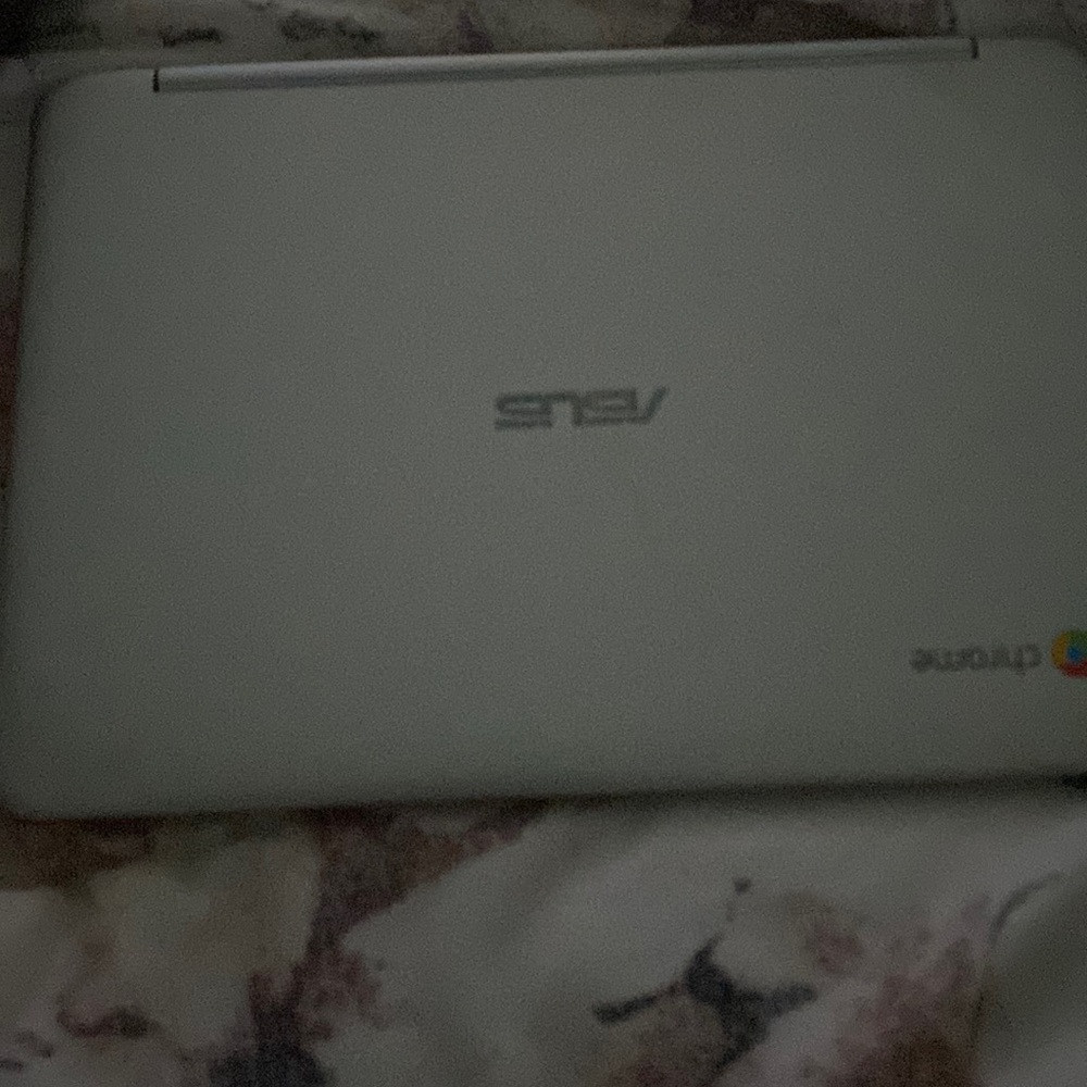 Chrome book flexible